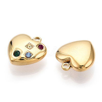 304 Stainless Steel Charms STAS-T064-10G-1
