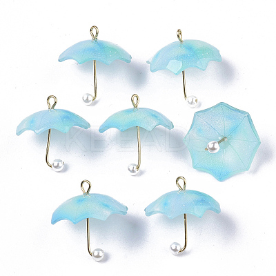 Acrylic Pendants LS-KY-S163-093A-03-1
