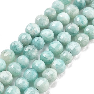 Natural Amazonite Beads Strands G-C179-J01-01-1