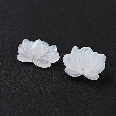 Acrylic Beads OACR-U001-05A-1