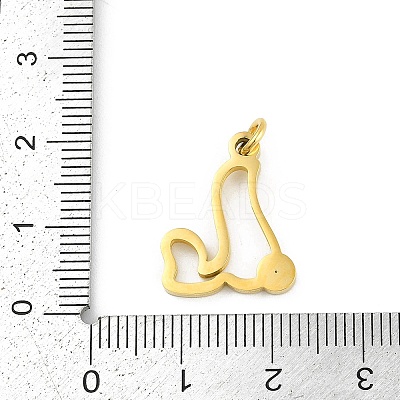 304 Stainless Steel Pendants LS-STAS-R137-01G-L-1