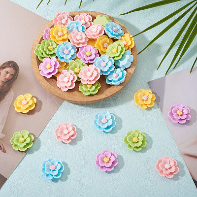 50Pcs 5 Colors 3D Opaque Resin Cabochons RESI-TA0005-02-1