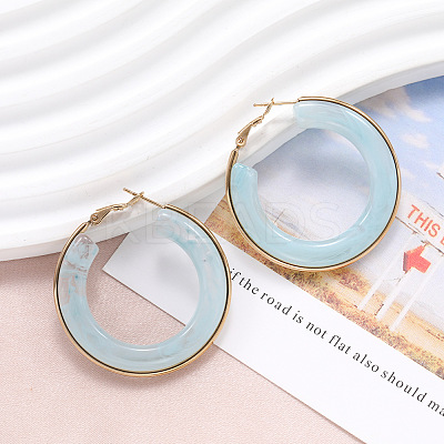 304 Stainless Steel Acrylic Hoop Earrings FS-WG57303-06-1
