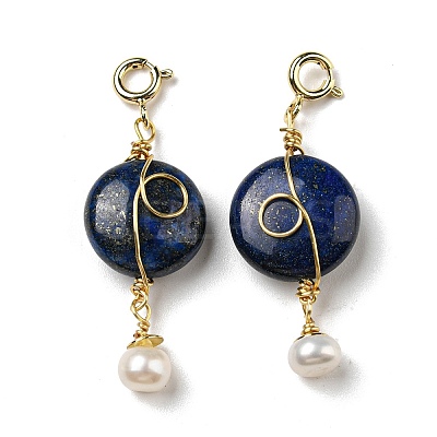 Natural Lapis Lazuli Flat Round Pendant Decorations G-R489-47G-1