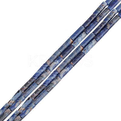 2 Strands Natural Sodalite Beads Strands G-GO0001-42-1
