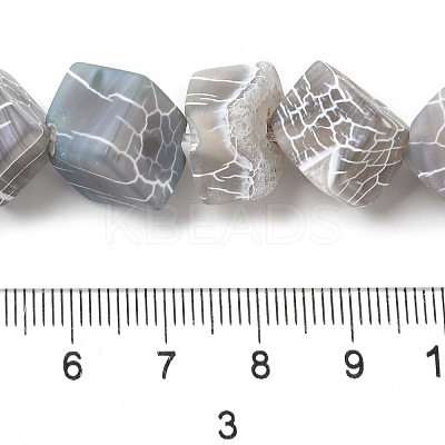 Natural Weathered Agate Beads Strands G-Q169-C04-01A-1