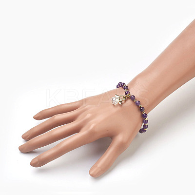 Natural Mixed Stone Beads Stretch Charm Bracelets BJEW-JB03857-1