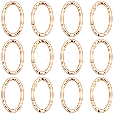 20Pcs Alloy Spring Gate Rings PALLOY-SC0010-53B-G-1