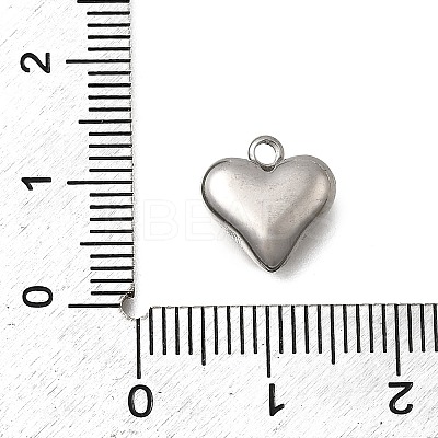 304 Stainless Steel Charms STAS-Z163-03P-1