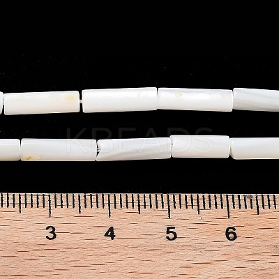 Freshwater Shell Beads Strands X-BSHE-L037-13-1