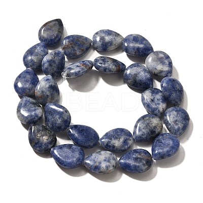 Natural Blue Spot Jasper Beads Strands G-P561-B06-01-1