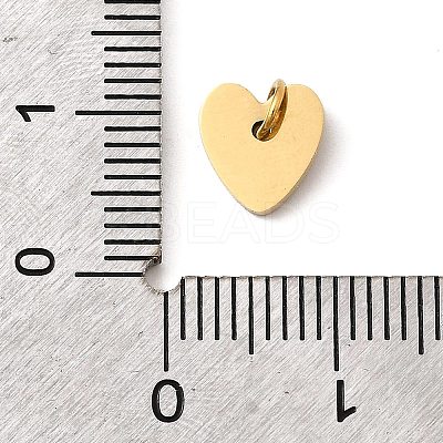304 Stainless Steel Charms STAS-B093-13G-1