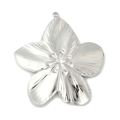 304 Stainless Steel Pendants LS-STAS-L293-09E-P-1