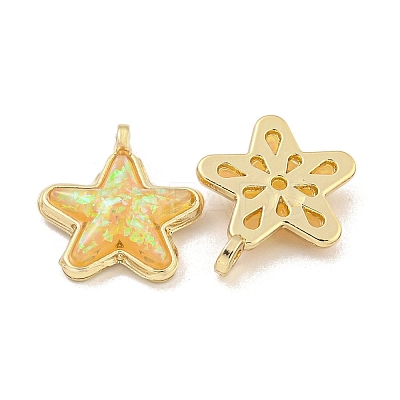 Translucent Resin Pendants KK-M291-24F-1