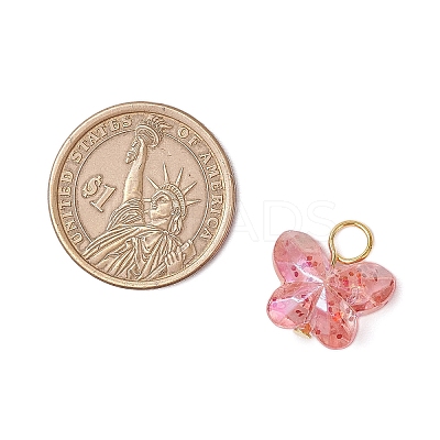 Transparent Acrylic Beads with Iron Flat Head Pins Pendants PALLOY-JF03597-1