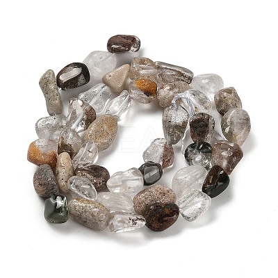 Natural Green Lodolite Quartz Beads Strands G-P497-01E-05-1