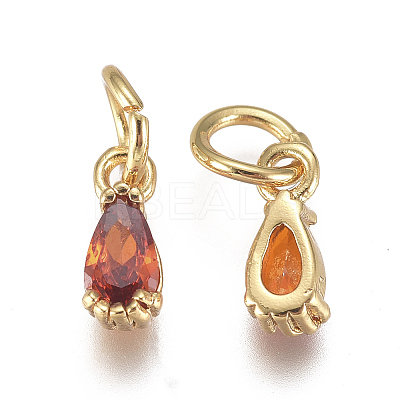 Brass Micro Pave Cubic Zirconia Charms ZIRC-F111-04G-06-1