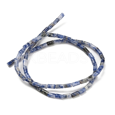 Natural Blue Spot Jasper Beads Strands G-P600-B05-01-1