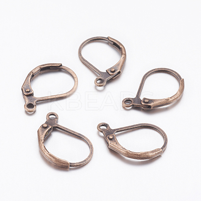 Brass Leverback Earring Findings X-EC223-NFR-1