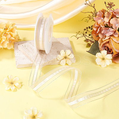 Polyester Lace Ribbon OCOR-TADJ0001-07A-1