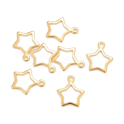 201 Stainless Steel Charms LS-STAS-K217-05G-1