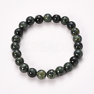 Natural Kambaba Jasper Beaded Stretch Bracelets BJEW-Q692-61-8mm-1