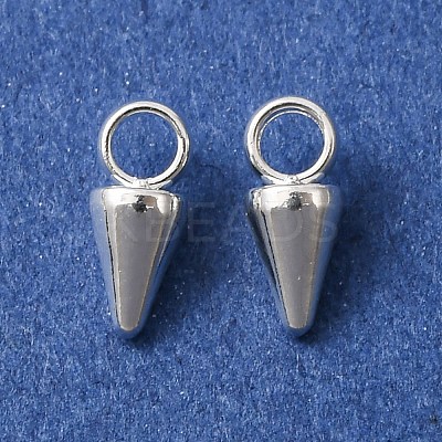 304 Stainless Steel Pendants STAS-G214-47S-04-1