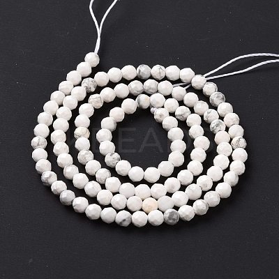 Natural Howlite Beads Strands G-H273-02B-1
