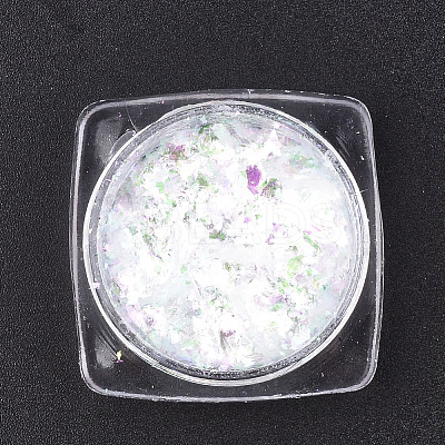 Holographic Chunky Glitter Nail Art Pigment Dust MRMJ-S015-009L-1