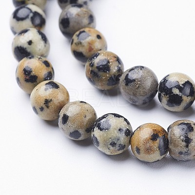 Natural Dalmatian Jasper Beads Strands GSR6mmC004-1