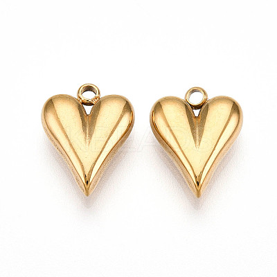 304 Stainless Steel Charms STAS-N109-69G-1