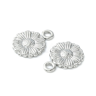 Non-Tarnish 304 Stainless Steel Charms LS-STAS-L269-056P-1