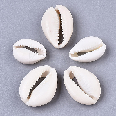Natural Cowrie Shell Beads LS-X-SSHEL-N034-34-1