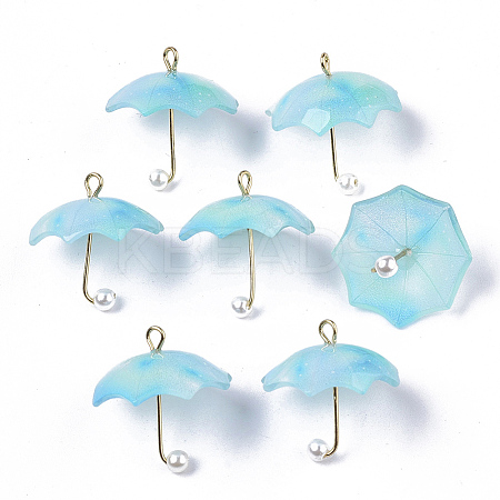 Acrylic Pendants LS-KY-S163-093A-03-1