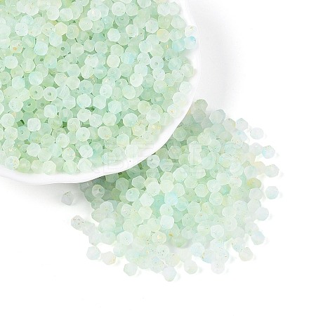 Frosted Glass Seed Beads SEED-N012-01D-1