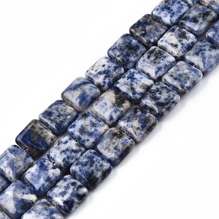 Natural Blue Spot Jasper Beads Strands G-N326-140G-1