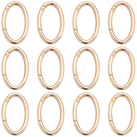 20Pcs Alloy Spring Gate Rings PALLOY-SC0010-53B-G-1