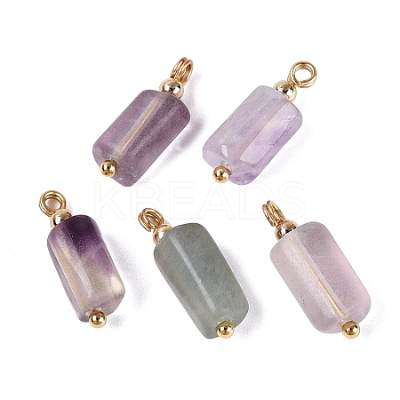 Natural Fluorite Pendants GG-N004-01G-03-1
