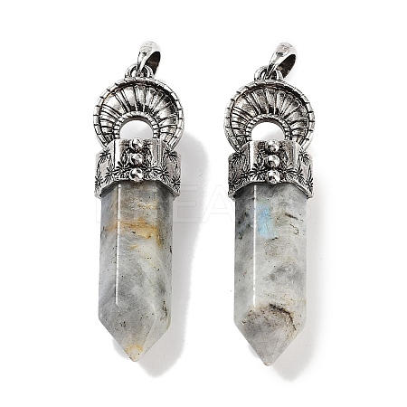 Natural Labradorite Pointed Big Pendants G-Q163-02AS-07-1