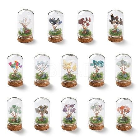 Natural Mixed Gemstone Chips Money Tree in Dome Glass Bell Jars with Wood Base Display Decorations DJEW-K030-02-1