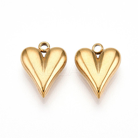 304 Stainless Steel Charms STAS-N109-69G-1