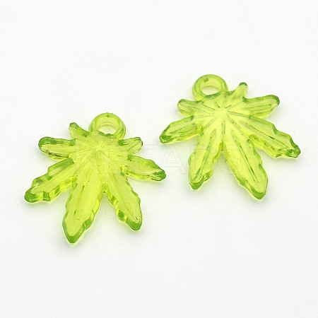 Transparent Acrylic Pendants PL711Y-3-1