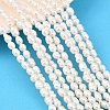 Natural Cultured Freshwater Pearl Beads Strands PEAR-F020-19-1