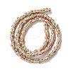 Handmade Lampwork Beads Strands BLOW-K001-01A-04-3