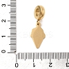 304 Stainless Steel Enamel European Dangle Charms STAS-D153-05C-G-3