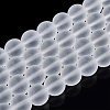 Transparent Glass Beads Strands GLAA-T032-T10mm-MD13-1