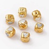 Natural Freshwater Shell Beads BSHE-C001-03G-1