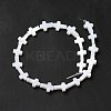 Natural Freshwater Shell Beads Strands X-BSHE-E026-18-3