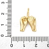 304 Stainless Steel Pendants STAS-U049-04A-03G-3