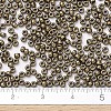 MIYUKI Round Rocailles Beads X-SEED-G007-RR0457-4